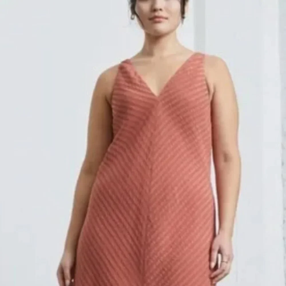 Everlane NWT Rust Colored City Striped Sleeveless V-neck Midi Dress - Picture 8 of 12